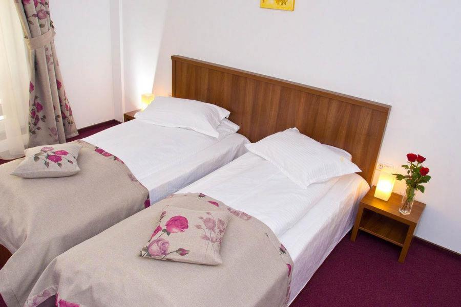 Hotel Domnitei Călimăneşti 외부 사진